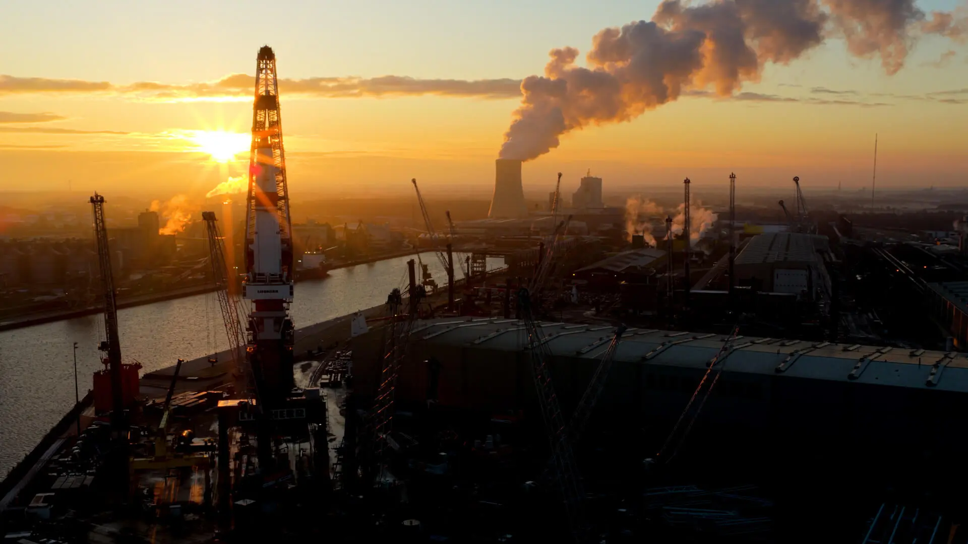 Video header 2026